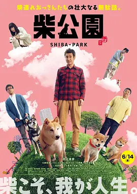 激情四射的夜晚