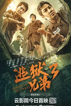 国内成人精品视频