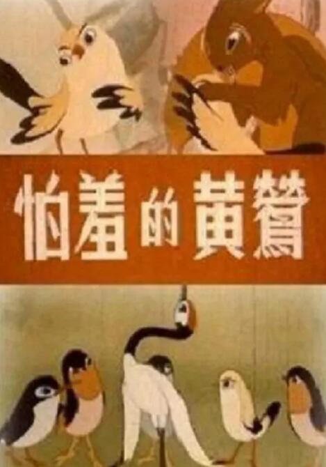 在线视频二区