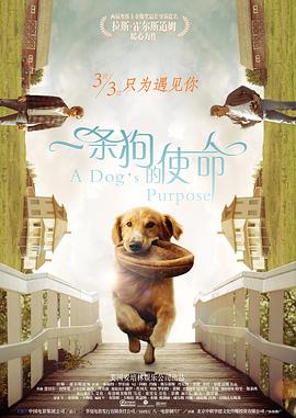 人妻的滋味