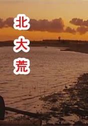 亚洲午夜国产精品无卡
