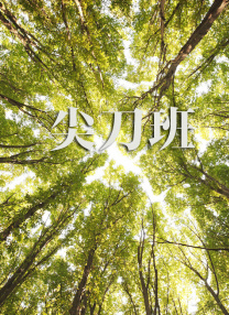 99视频精品全国在线观看