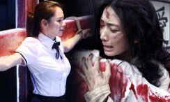 谎言背后的故事