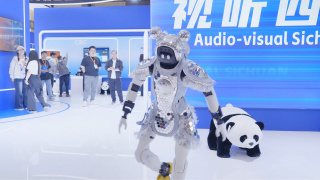 成人国产精品久久久久久亚洲